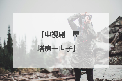 电视剧一屋塔房王世子