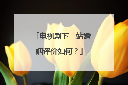 电视剧下一站婚姻评价如何？