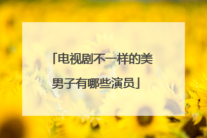 电视剧不一样的美男子有哪些演员