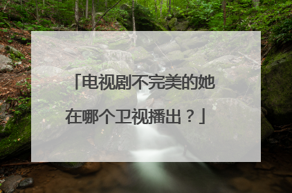 电视剧不完美的她在哪个卫视播出？