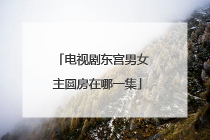 电视剧东宫男女主圆房在哪一集