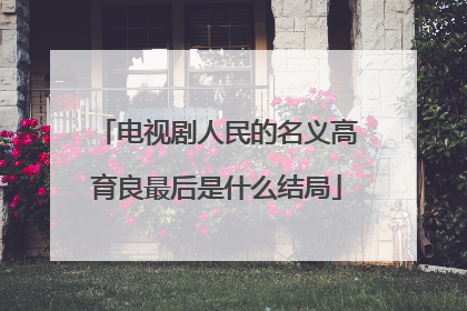 电视剧人民的名义高育良最后是什么结局