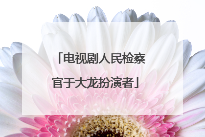 电视剧人民检察官于大龙扮演者