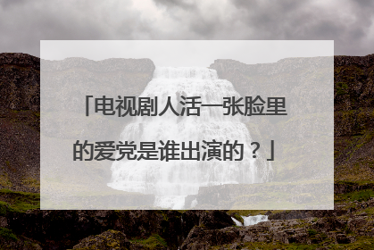 电视剧人活一张脸里的爱党是谁出演的？