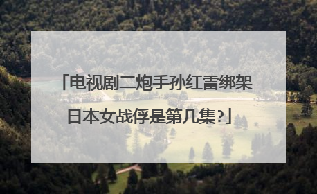电视剧二炮手孙红雷绑架日本女战俘是第几集?