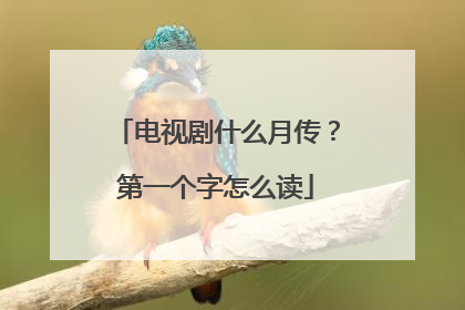 电视剧什么月传？第一个字怎么读