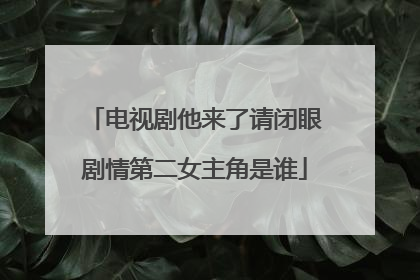 电视剧他来了请闭眼剧情第二女主角是谁