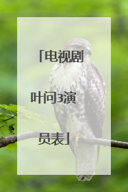 电视剧叶问3演员表