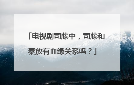 电视剧司藤中，司藤和秦放有血缘关系吗？