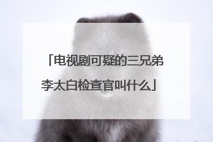 电视剧可疑的三兄弟李太白检查官叫什么