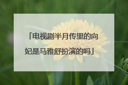 电视剧半月传里的向妃是马雅舒扮演的吗