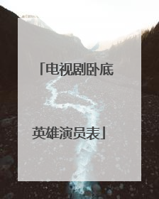 电视剧卧底英雄演员表