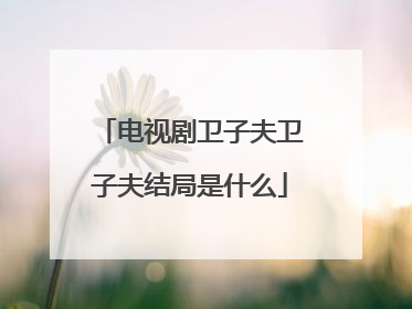 电视剧卫子夫卫子夫结局是什么