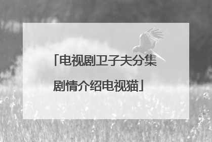 电视剧卫子夫分集剧情介绍电视猫