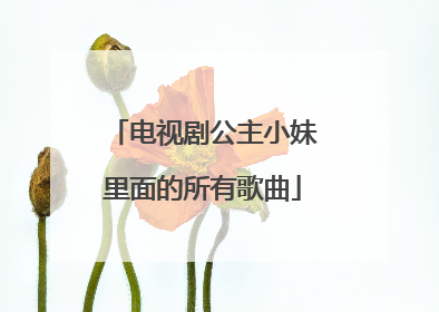 电视剧公主小妹里面的所有歌曲