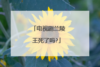 电视剧兰陵王死了吗?