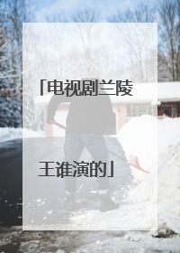 电视剧兰陵王谁演的