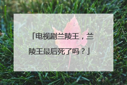 电视剧兰陵王，兰陵王最后死了吗？