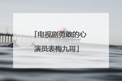 电视剧勇敢的心演员表梅九哥
