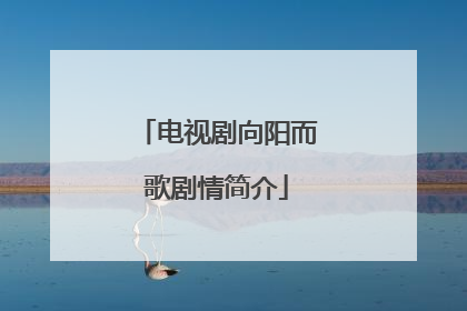 电视剧向阳而歌剧情简介