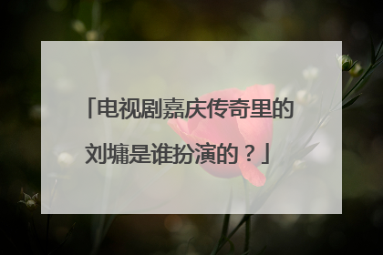 电视剧嘉庆传奇里的刘墉是谁扮演的？