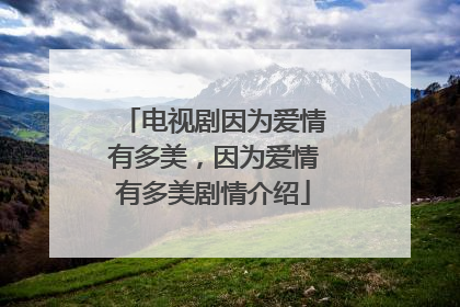 电视剧因为爱情有多美,因为爱情有多美剧情介绍