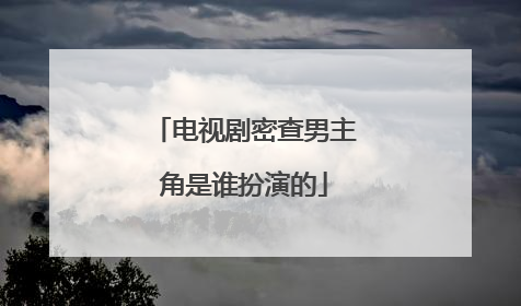 电视剧密查男主角是谁扮演的
