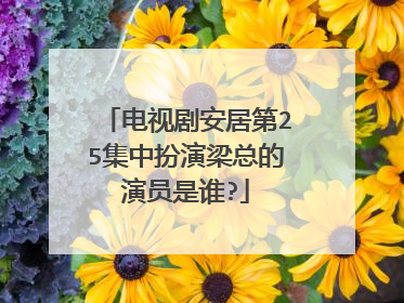 电视剧安居第25集中扮演梁总的演员是谁?