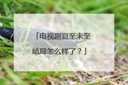 电视剧夏至未至结局怎么样了？