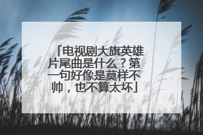 电视剧大旗英雄片尾曲是什么？第一句好像是莫样不帅，也不算太坏