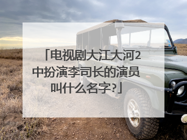 电视剧大江大河2中扮演李司长的演员叫什么名字?