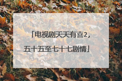 电视剧天天有喜2,五十五至七十七剧情