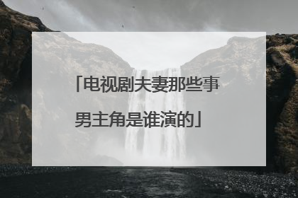 电视剧夫妻那些事男主角是谁演的
