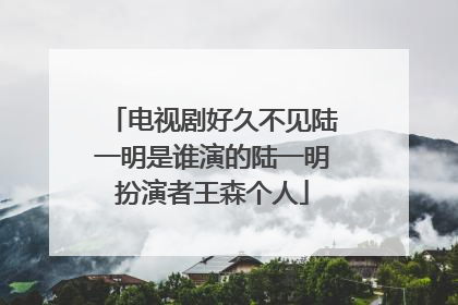 电视剧好久不见陆一明是谁演的陆一明扮演者王森个人