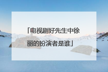 电视剧好先生中徐丽的扮演者是谁