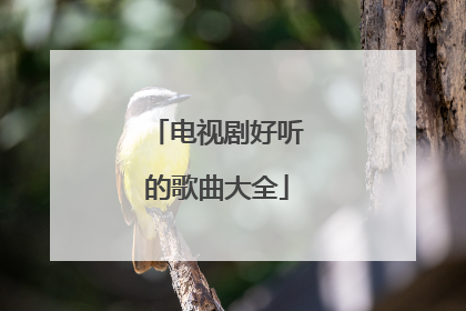 电视剧好听的歌曲大全