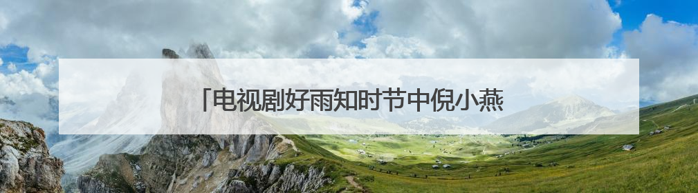 电视剧好雨知时节中倪小燕的儿子倪小纯是谁演的?