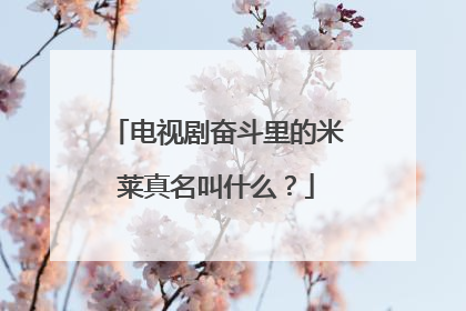 电视剧奋斗里的米莱真名叫什么？