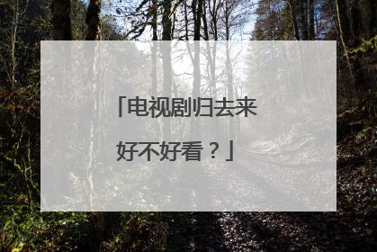 电视剧归去来好不好看？