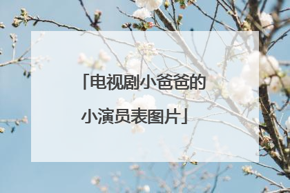 电视剧小爸爸的小演员表图片