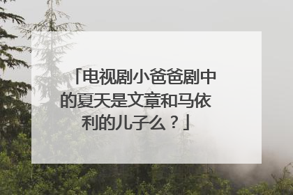 电视剧小爸爸剧中的夏天是文章和马依利的儿子么？