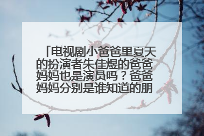 电视剧小爸爸里夏天的扮演者朱佳煜的爸爸妈妈也是演员吗？爸爸妈妈分别是谁知道的朋友说下谢谢