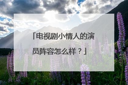 电视剧小情人的演员阵容怎么样？