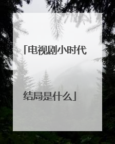 电视剧小时代结局是什么