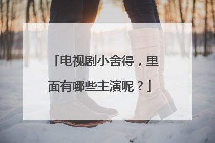 电视剧小舍得,里面有哪些主演呢?