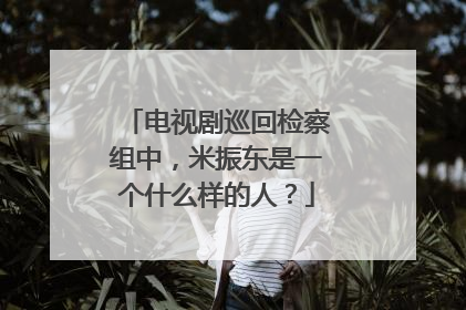 电视剧巡回检察组中，米振东是一个什么样的人？