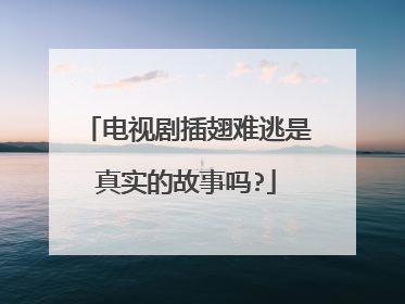 电视剧插翅难逃是真实的故事吗?