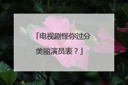 电视剧怪你过分美丽演员表？