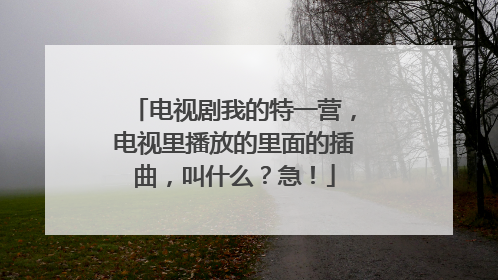 电视剧我的特一营，电视里播放的里面的插曲，叫什么？急！