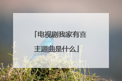 电视剧我家有喜主题曲是什么